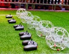 阿隆索表达,遗憾,誓在德甲全,太阳城,太阳城娱乐,太阳城app,太阳城赌场