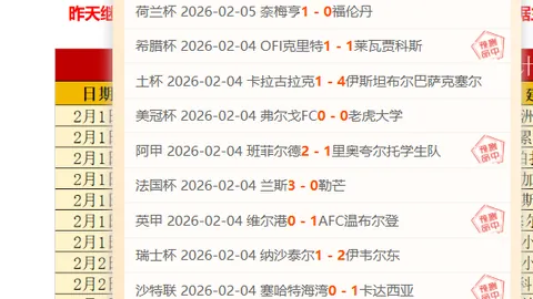 主裁判赛前收到冰淇淋小贩赠与的冰淇淋与足球