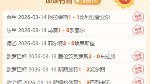 大乐透期号专家推荐：国王vs公牛比赛分析