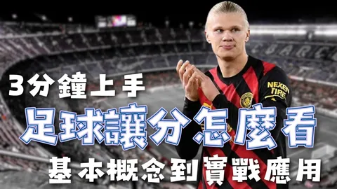 大乐透期号专家质合分析推荐前区十码：掘金VS森林G1赛果揭晓